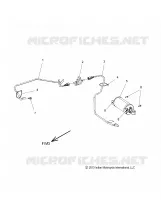FUEL SYSTEM, EVAP SYSTEM