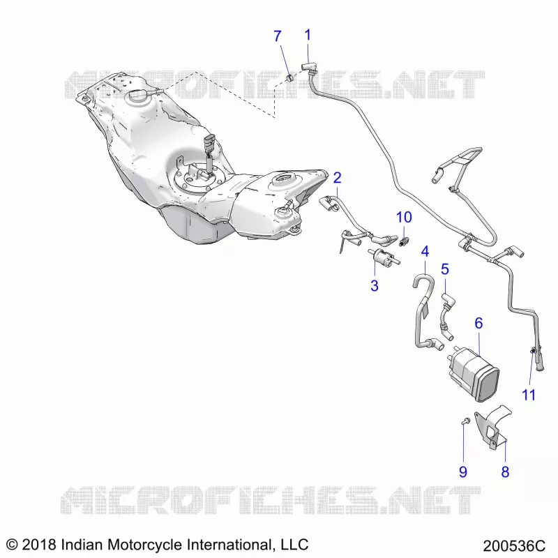 FUEL LINES AND CANISTER (EVAP)