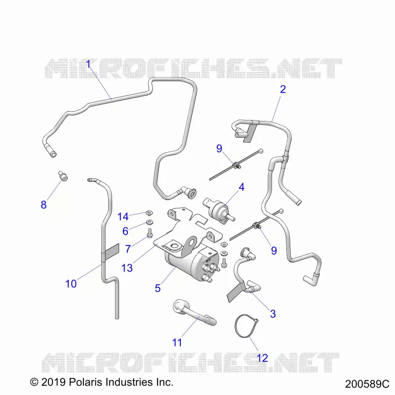 FUEL SYSTEM, EVAP SYSTEM, CALI./INTL