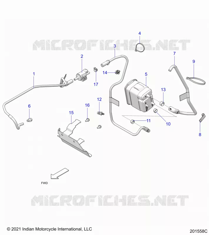 FUEL SYSTEM, EVAP SYSTEM (CALIF. AND INTL)