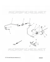 FUEL SYSTEM, EVAP SYSTEM (CALIF. AND INTL)