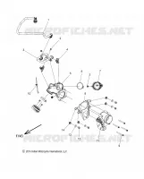 FUEL SYSTEM, FUEL RAIL/THROTTLE BODY