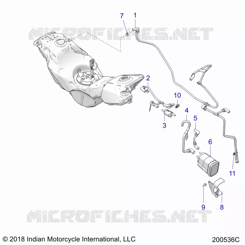 FUEL LINES AND CANISTER (EVAP)
