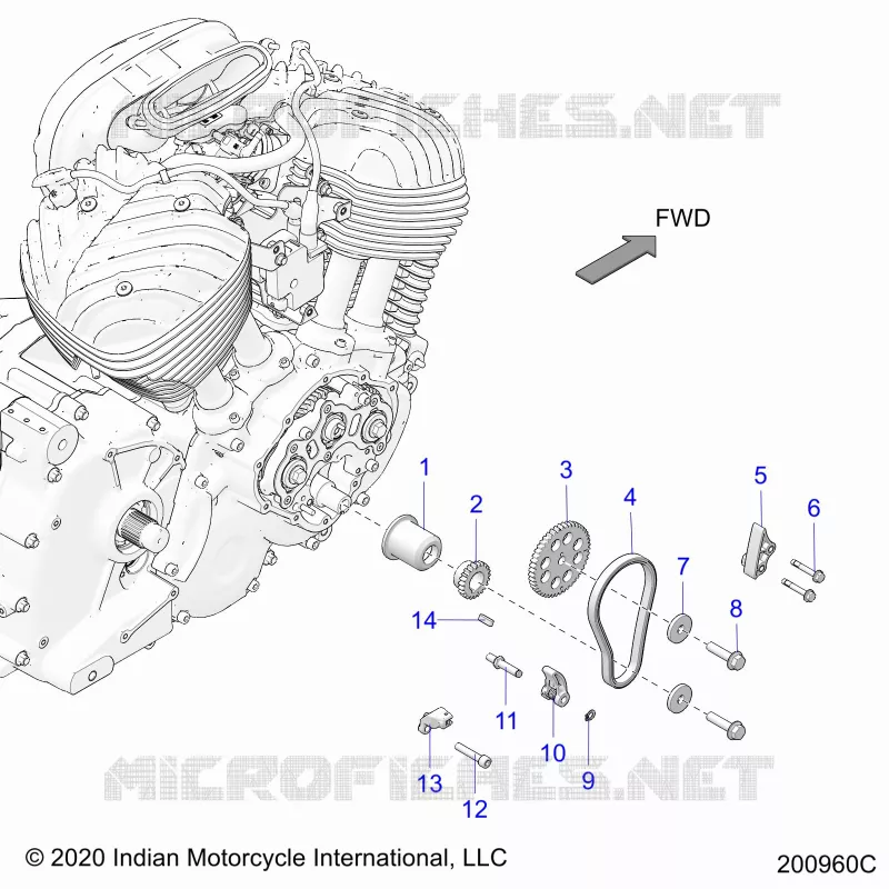 CAM CHAIN AND SPROCKETS
