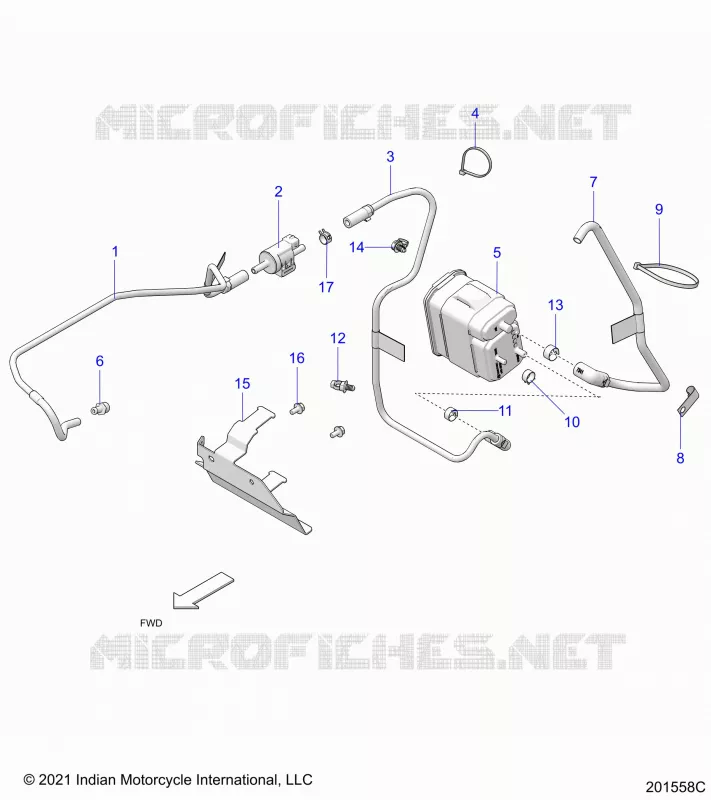 FUEL SYSTEM, EVAP SYSTEM (CALIF. AND INTL)