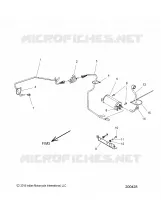 FUEL SYSTEM, EVAP SYSTEM  (CALIF. AND INTL)