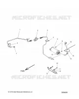 FUEL SYSTEM, EVAP SYSTEM  (CALIF. AND INTL)