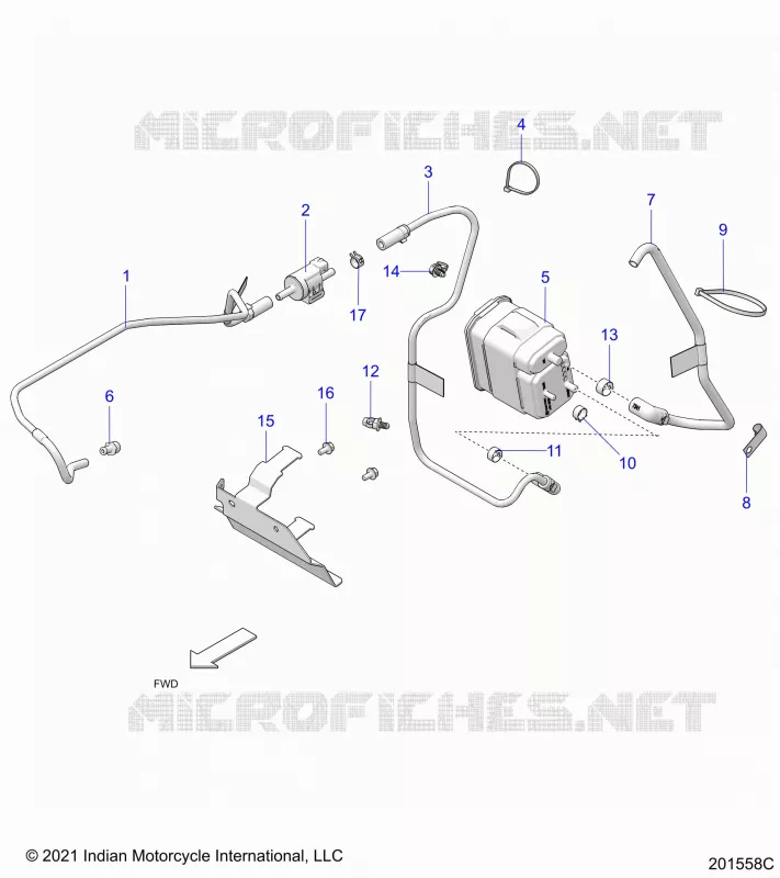 FUEL SYSTEM, EVAP SYSTEM (CALIF. AND INTL)